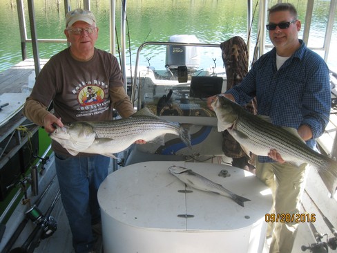 Nice Striped Bass